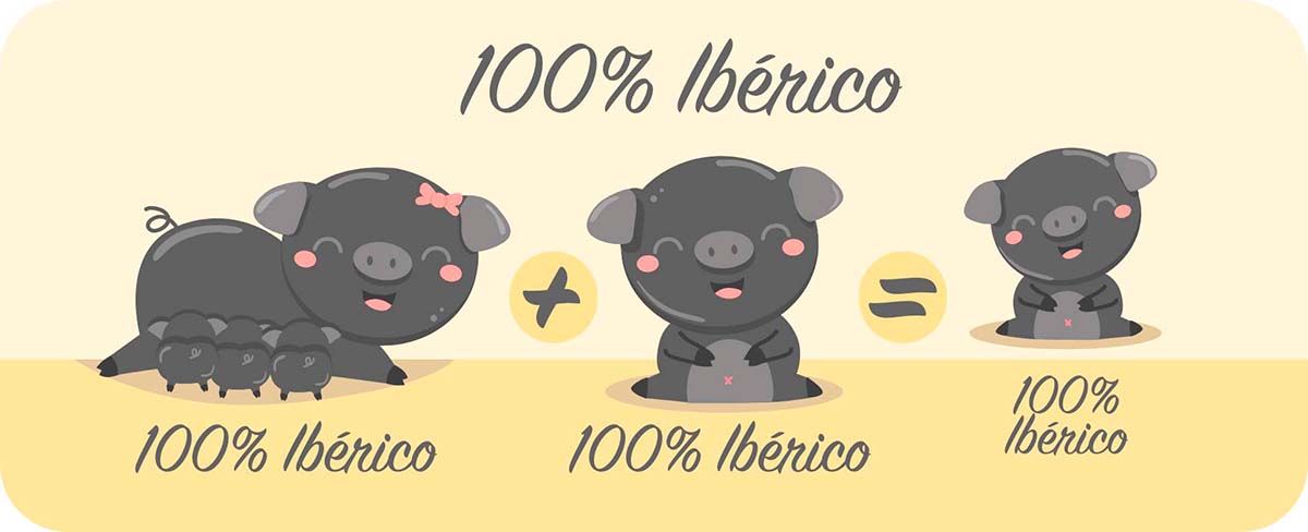 Jamón 100% Ibérico