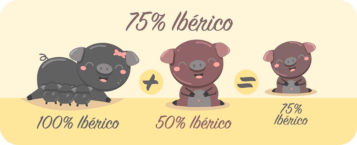 Jamón 75% Ibérico