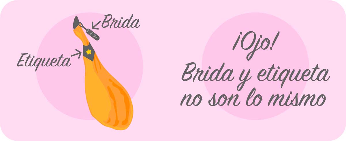 brida y etiqueta no son lo mismo