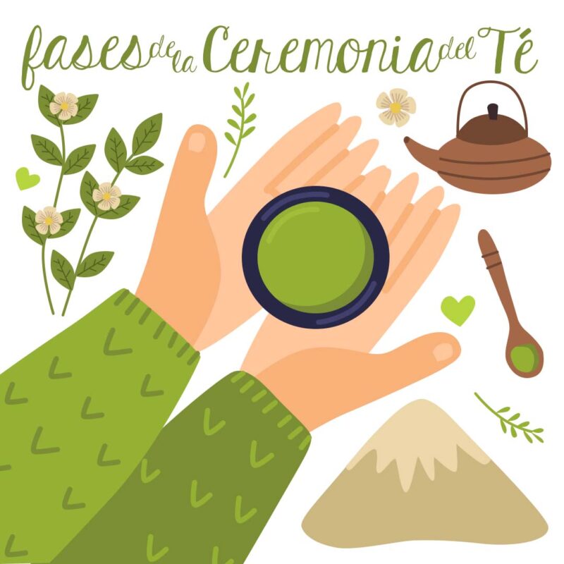 Fases de la Ceremonia del Té